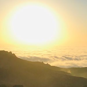 Meet your Posher, Faviola